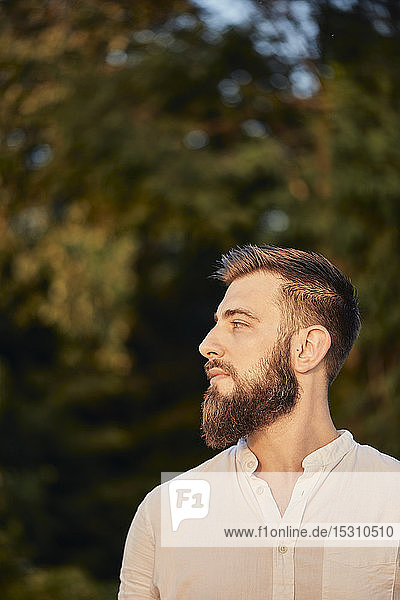 Porträt eines Mannes mit Bart  seitwärts blickend