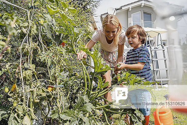 Mother and son caring for vegetable in garden