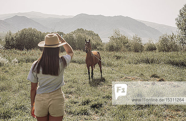 Rear view of a young woman looking to a horse on meadow