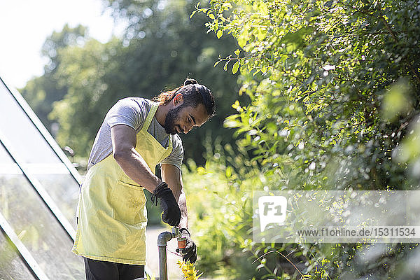 Bärtiger junger Mann bei der Gartenarbeit