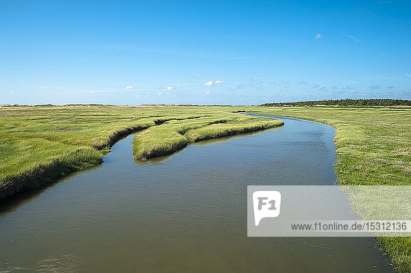 Deutschland Schleswig-Holstein Sankt Peter-Ording Salzwiese bei Flut