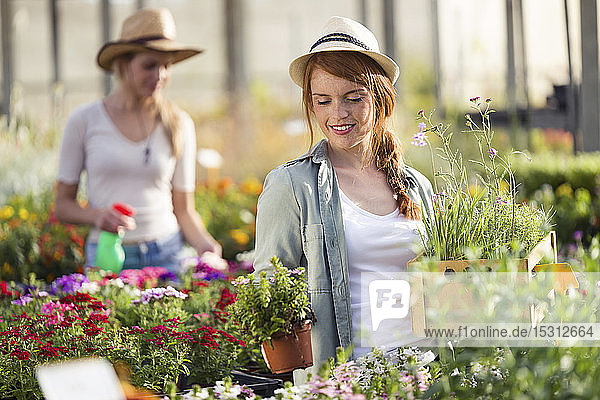 Hübsche junge Frau kümmert sich um Pflanzen und Blumen im Gewächshaus