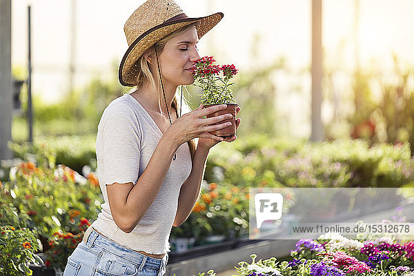Hübsche junge Frau riecht nach Blumen im Gewächshaus
