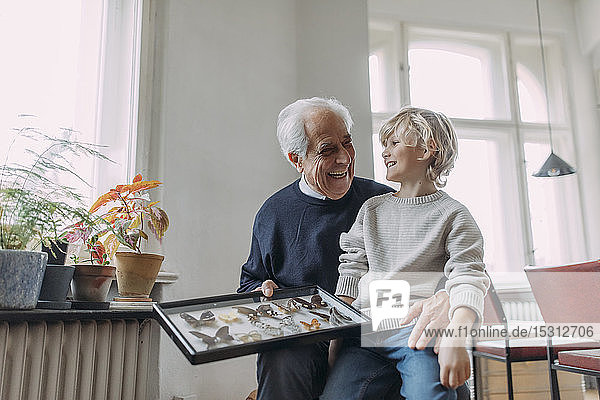 Happy grandfather showing butterfly collection to grandson at home
