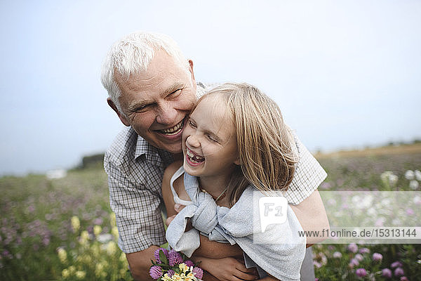 Laughing grandfather and granddaughter with picked flowers on a meadow