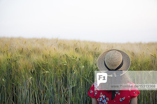 Rückenansicht einer Frau mit Strohhut und rotem Sommerkleid mit Blumenmuster vor einem Getreidefeld stehend