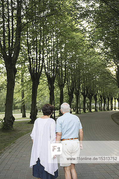 Rückenansicht eines älteren Paares  das Hand in Hand in einem Park spazieren geht