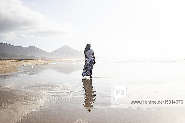 Rückenansicht einer Frau  die am Strand spazieren geht  Fuerteventura  Spanien