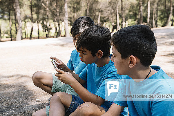 Three boys in blue t-shirts using smartphone
