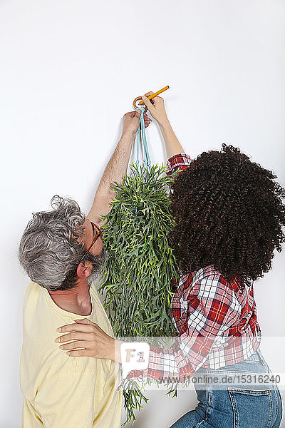 Paar Hängepflanzen an der Wand zu Hause