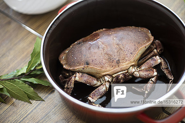 Crab prepared for cooking in pot