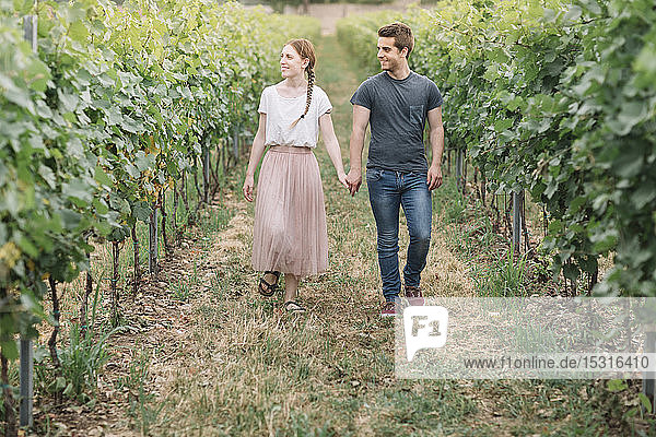 Glückliches junges Paar geht Hand in Hand in den Weinbergen