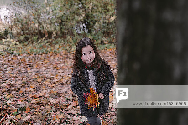 Portrait of little girl collecting leaves in autumn