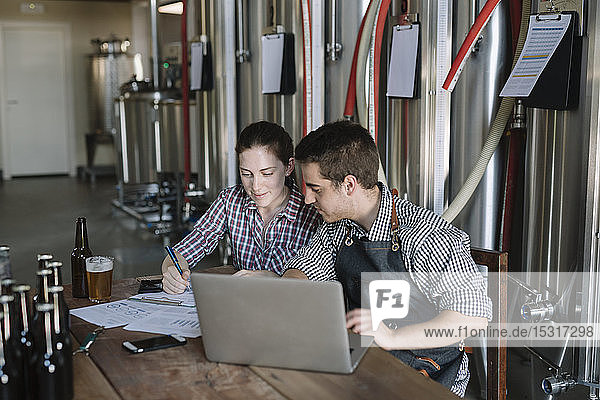 Young entrepreneurs working at a brewery