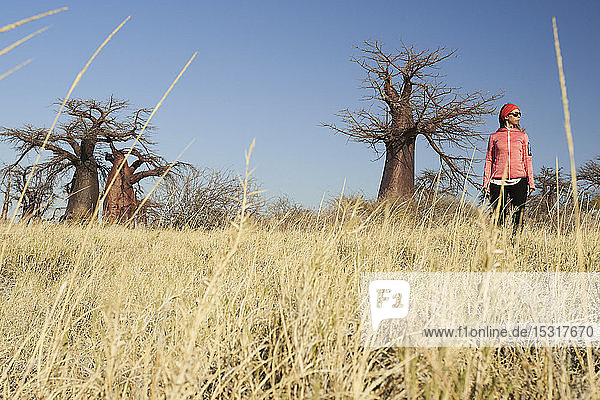Woman with baobab trees in background  Makgadikgadi pans  Botswana