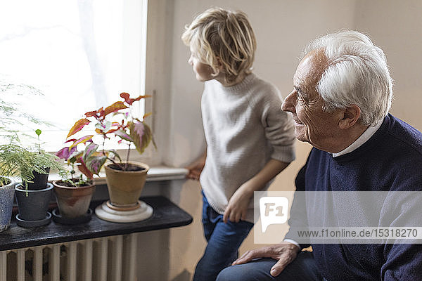Grandfather and grandson at home looking out of window