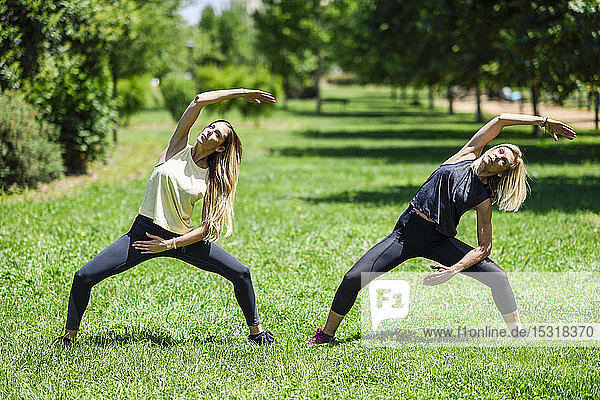 Reife Frau macht Yoga mit ihrer Tochter in einem Park