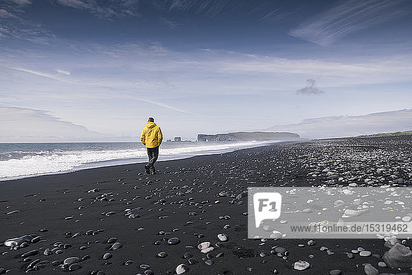 Erwachsener Mann geht an einem Lavastrand in Island