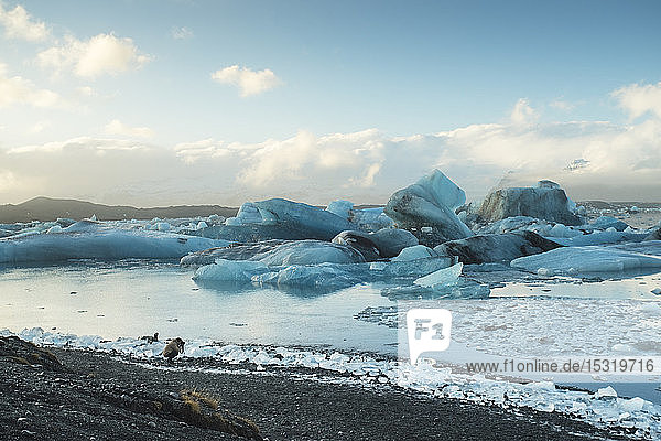 Iceland South Iceland  Jokulsarlon glacial lake
