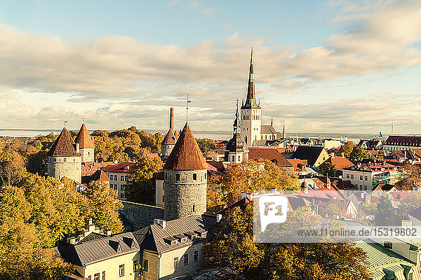 Blick auf die Altstadt mit der St. Olaf-Kirche und der alten Stadtmauer  Tallinn  Estland
