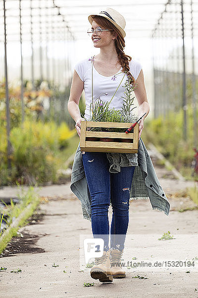 Hübsche junge Frau hält Holzkiste mit Pflanzen im Gewächshaus