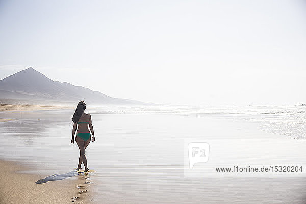 Rückenansicht einer Frau  die bei Ebbe am Strand spazieren geht  Fuerteventura  Spanien