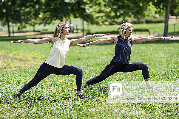 Reife Frau macht Yoga mit ihrer Tochter in einem Park