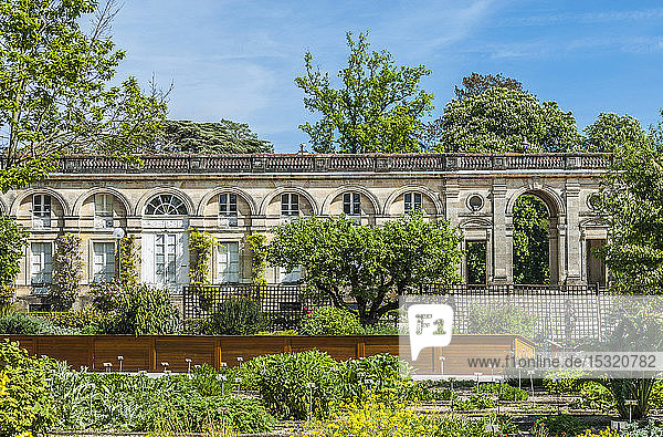 Frankreich  Gironde  Bordeaux  Galerie des anciennes serres des Jardin Public