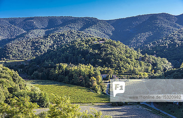 Frankreich  Luberon  Vaucluse  das Luberon-Gebirge von Menerbes aus gesehen (schönstes Dorf Frankreichs)