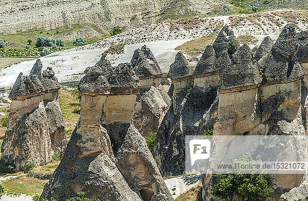 Türkei  Goreme-Nationalpark und die Felsen von Kappadokien  Hoodoos mit ihren Basaltkuppeln im Pasabag-Tal (UNESCO-Welterbe)