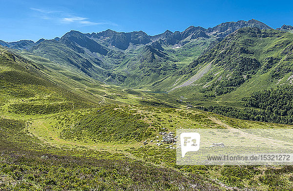 Frankreich  Pyrenäen-Nationalpark  Hautes Pyrenees  Berg Hautacam  Schafherde im Isaby-Tal