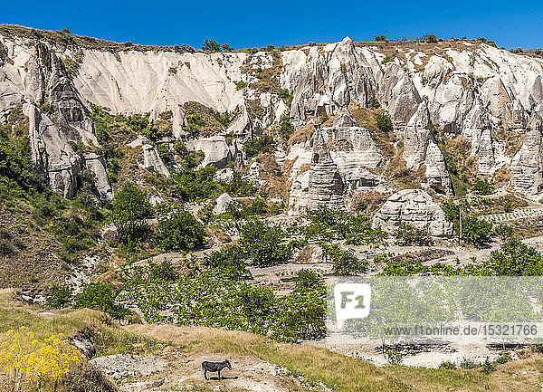 Türkei  Goreme-Nationalpark und die Felsenstätten von Kappadokien  Museum inmitten des Zelve-Tals (Wiege des Christentums im 9. und 13. Jahrhundert)  ländliche Landschaft (UNESCO-Welterbe)