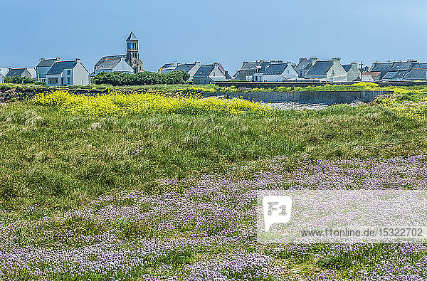 Frankreich  Bretagne  Ile de Sein  Heidelandschaft und Dorf