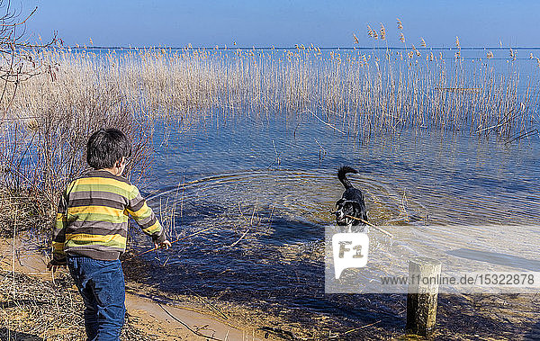 France  Bassin d'Arcachon  little boy playing with a dog at the Cazaux lake (Model release DSch_003)