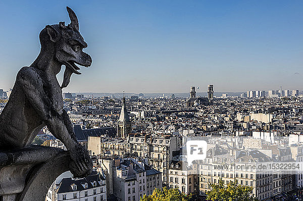 Frankreich  Paris  4. Arrondissement  Ile de la Cite  phantasievolle Tierskulpturen auf einem Turm der Kathedrale Notre-Dame  Blick auf den Glockenturm der Kirche Saint-Severin und die Rundgänge der Kirche Saint-Sulpice