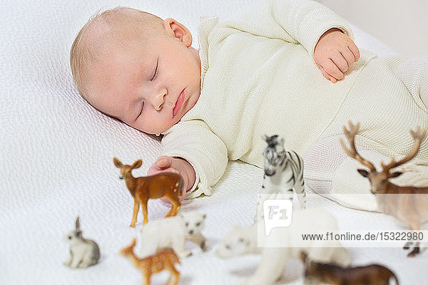 Junger Säugling in weißer Kleidung von 2 Monaten schläft auf einem weißen Bett  umgeben von kleinen Bauernhoftieren.
