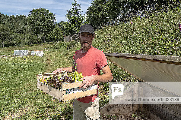 Europe  France  Bourgogne  Epoisses  young market gardener in his vegetables garden holding a salad crate