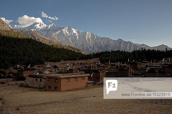 Sommerzeit in einem Dorf umgeben von schneebedeckten Gipfeln  Dolpo  Nepal