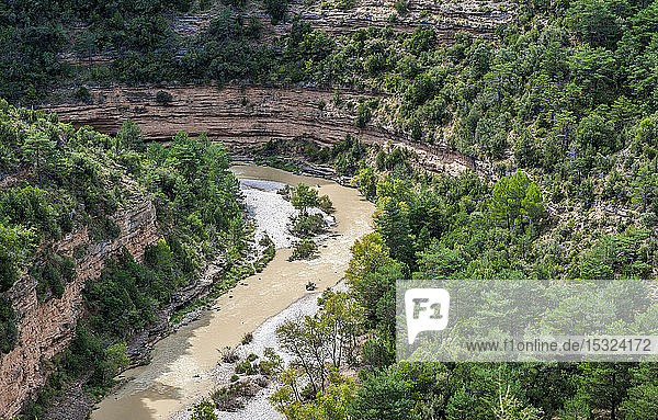 Spanien  Autonome Gemeinschaft Aragonien  Naturpark Sierra y CaÃ±ones de Guara  Schlucht des Flusses Alcanadre bei Bierge  Aleppo-Kiefern und GrÃ?ne Eichen