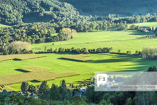 Frankreich  Pyrenäen-Nationalpark  Val d'Azun  Maisfeld in Aucun