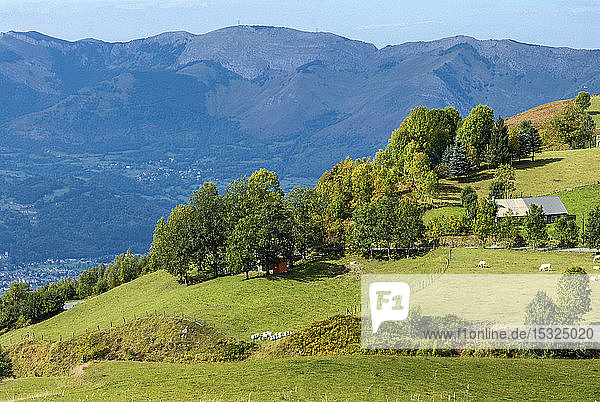 Frankreich  Pyrenäen-Nationalpark  Hautes-Pyrenees  Argeles-Gazost  Aufstieg zum Bahnhof Hautacam  Kühe und Ställe.