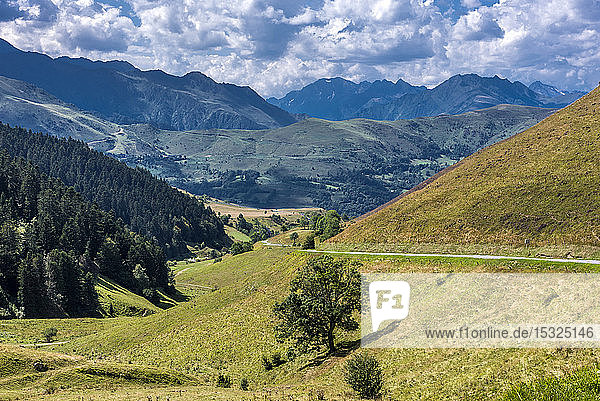 Frankreich  Hautes-Pyrenees  Grasland zwischen den Cols de Peyressourde und dem Val Louron-Azet