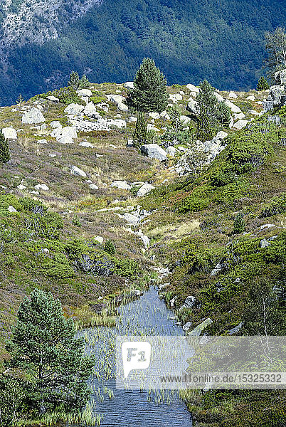 France Pyrenees Ariegeoises Regional Nature Park Bassies lakes