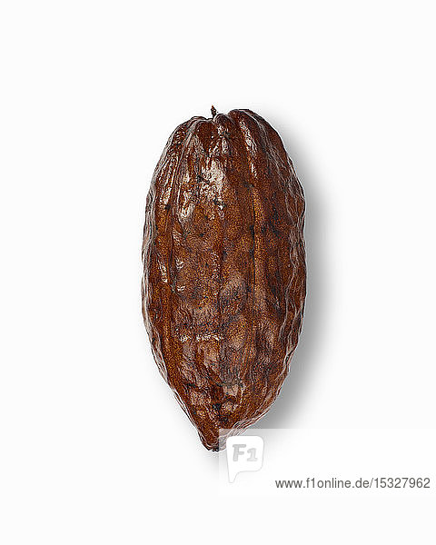 Eine Kakaoschote auf weißem Hintergrund