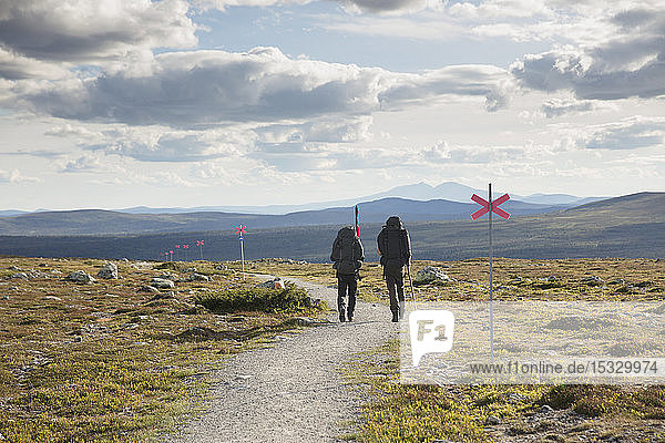 Hikers in field