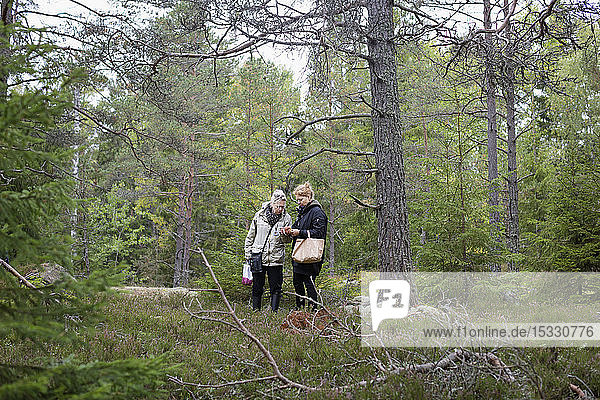 Women picking mushrooms in forest