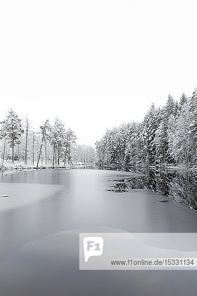 Eis auf einem See mit schneebedeckten Bäumen in Lotorp, Schweden