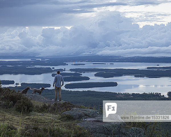 Man with dogs on hill