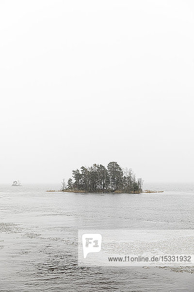 Trees on island