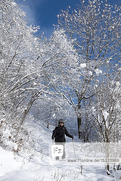 Italy  Lombardy  Orobie Alps Regional Park  Taleggio Valley  forest covered with snow  snowshoeing along the track to Gherardi Hut